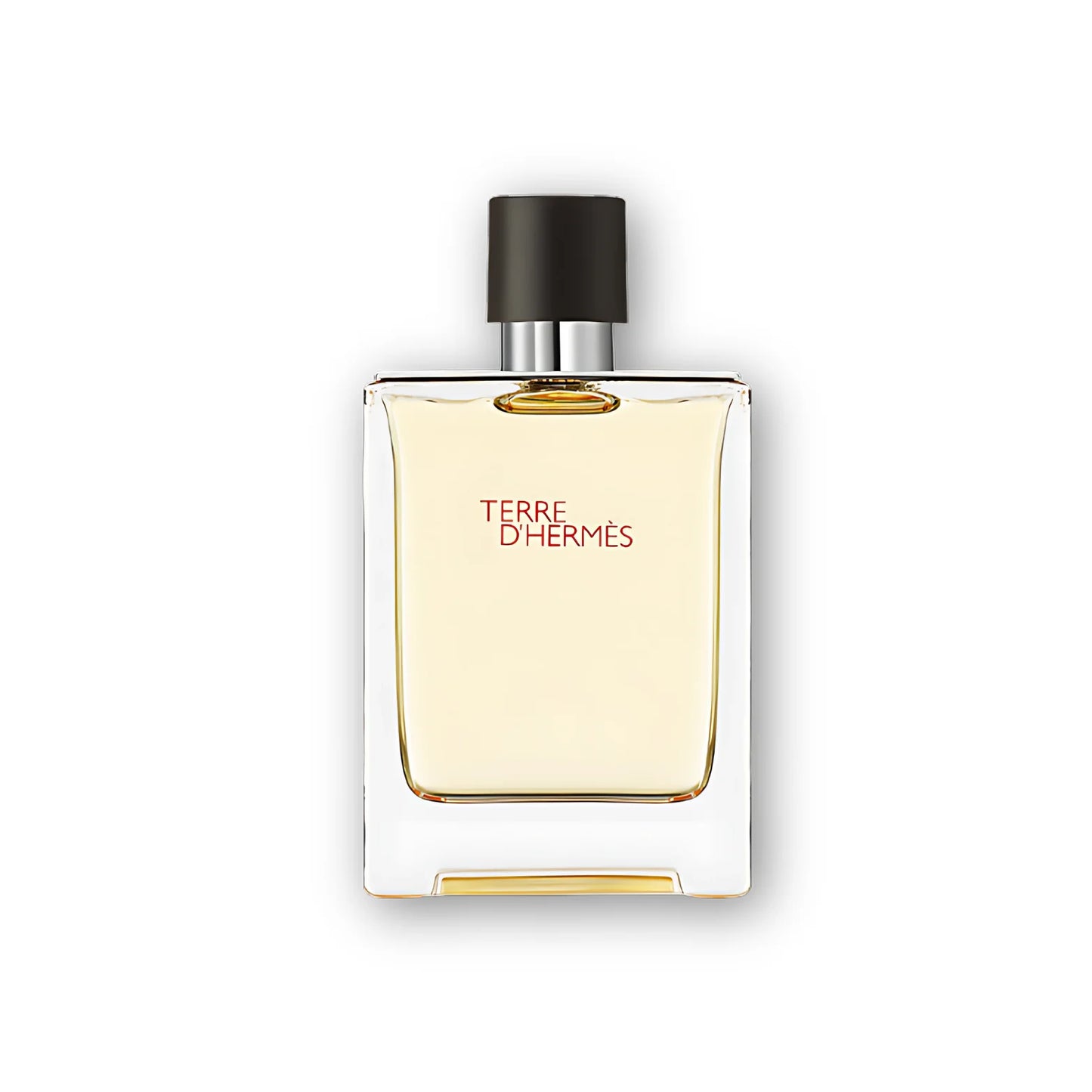 Hermes_Terre_d_Hermes_Eau_de_Toilette_100ml.