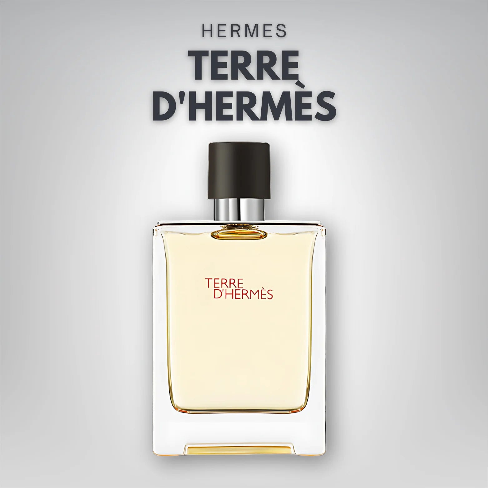 Hermes_Terre_d_Hermes_Eau_de_Toilette_100ml_about_us.