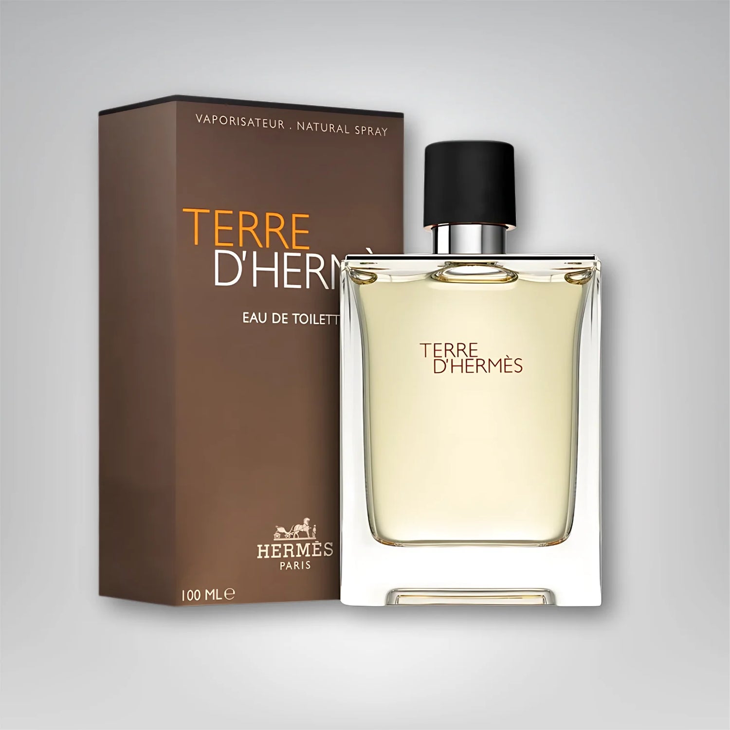 Hermes_Terre_d_Hermes_Eau_de_Toilette_100ml_creation.