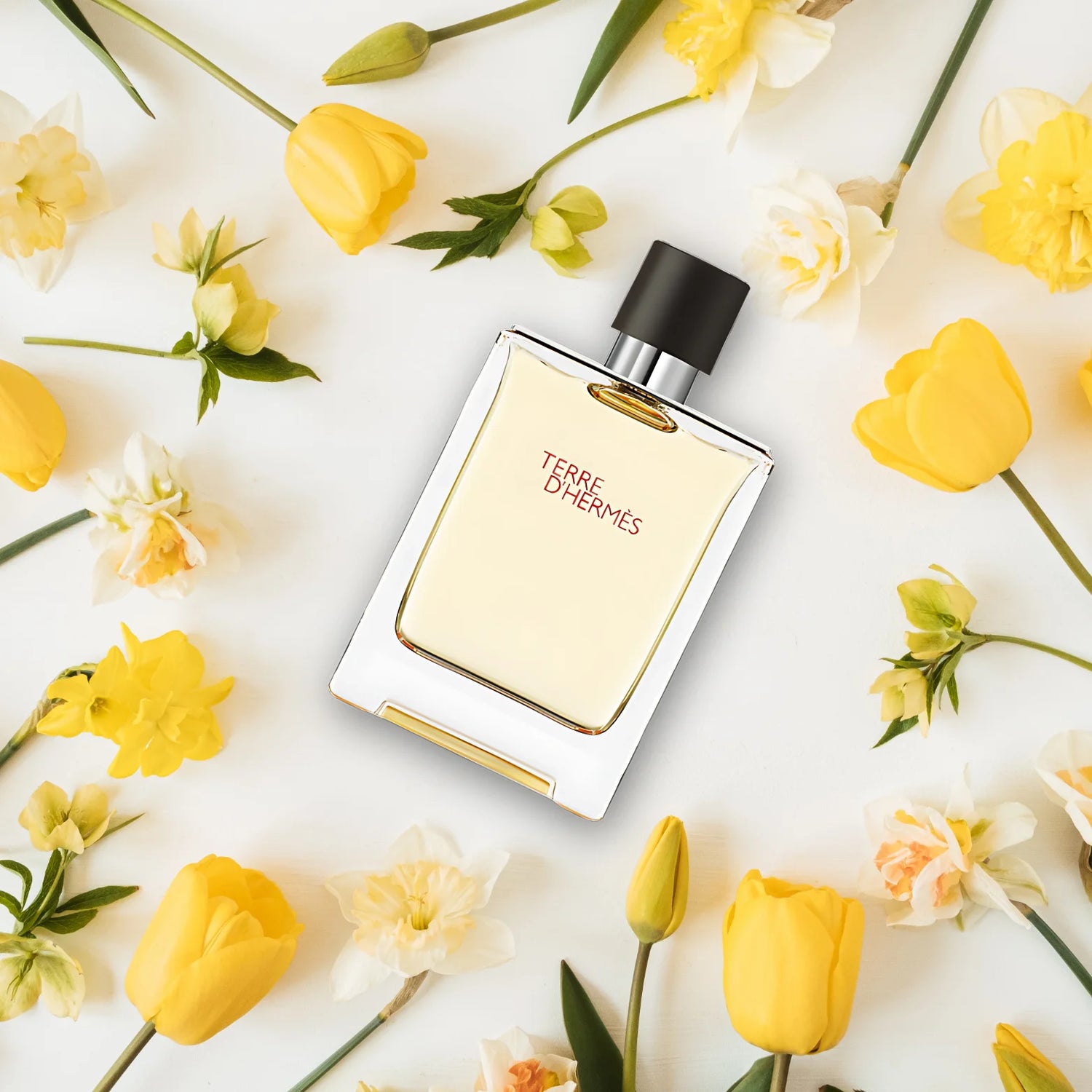 Hermes_Terre_d_Hermes_Eau_de_Toilette_100ml_fragrance.